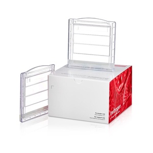 Invitrogen™ NuPAGE™ Bis-Tris Mini Protein Gels, 10%, 1.0–1.5 mm