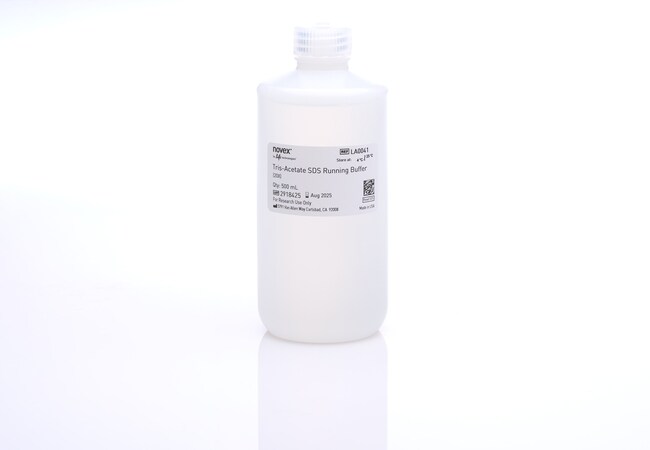 Invitrogen™ NuPAGE™ Tris-Acetate SDS Buffer Kit 