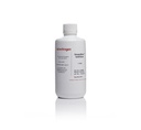 Invitrogen™ SimplyBlue™ SafeStain, 1X ready-to-use 