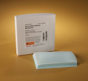 Thermo Scientific™ Nitrocellulose Membranes, 0.45 μm
