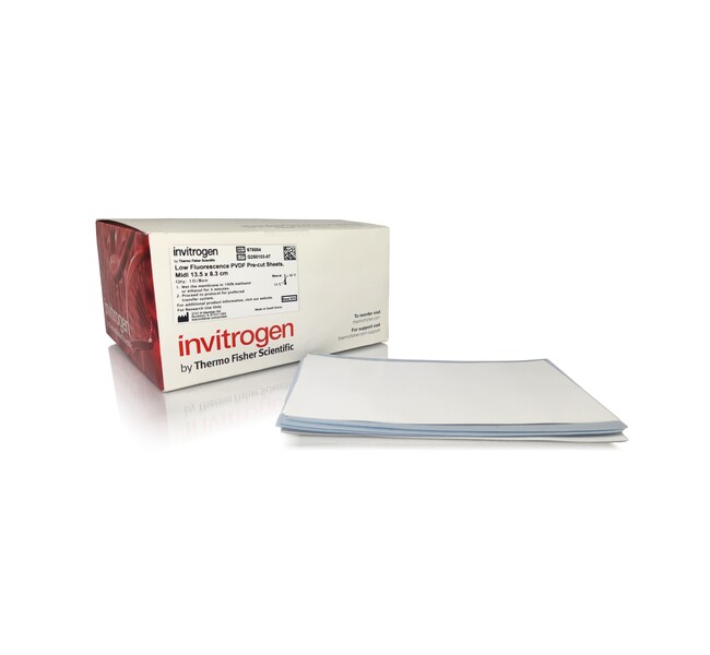 Invitrogen™ Low Fluorescence PVDF Membranes