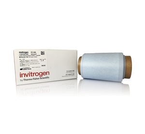 Invitrogen™ Low Fluorescence PVDF Membranes
