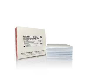 Invitrogen™ Low Fluorescence PVDF Membranes