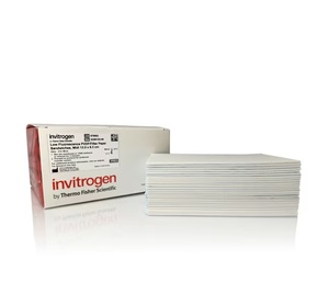 Invitrogen™ Low Fluorescence PVDF Membranes