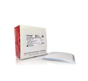 Invitrogen™ Low Fluorescence PVDF Membranes