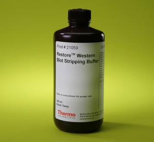 Thermo Scientific™ Restore™ Western Blot Stripping Buffer