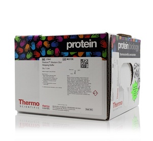 Thermo Scientific™ Restore™ Western Blot Stripping Buffer