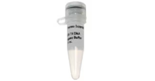 Thermo Scientific™ Taq Buffer (10X), 4 x 1.25 mL