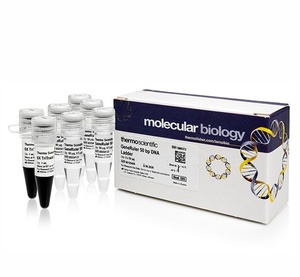 Thermo Scientific™ GeneRuler 50 bp DNA Ladder with  6X TriTrack DNA Loading Dye