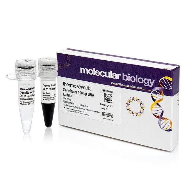 Thermo Scientific™ GeneRuler DNA Ladder