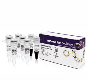 Thermo Scientific™ GeneRuler 100 bp DNA Ladder with 6X TriTrack DNA Loading Dye