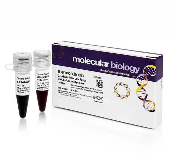 Thermo Scientific™ GeneRuler™ Express DNA Ladder, ready-to-use with 6X MassRuler DNA Loading Dye