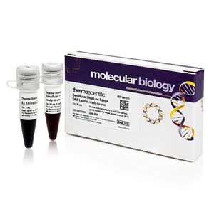 GeneRuler™ 100 bp DNA Ladder, ready-to-use  6X TriTrack DNA Loading Dye