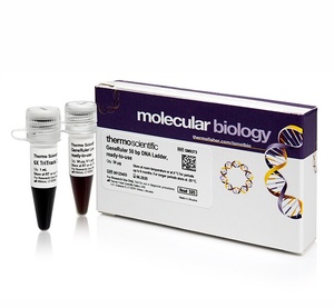 Thermo Scientific™ GeneRuler™ Express DNA Ladder, ready-to-use with 6X MassRuler DNA Loading Dye