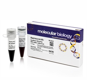 GeneRuler™ 100 bp DNA Ladder, ready-to-use  6X TriTrack DNA Loading Dye