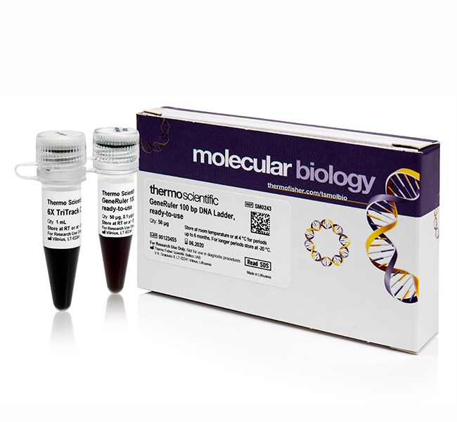 GeneRuler™ 100 bp DNA Ladder, ready-to-use  6X TriTrack DNA Loading Dye