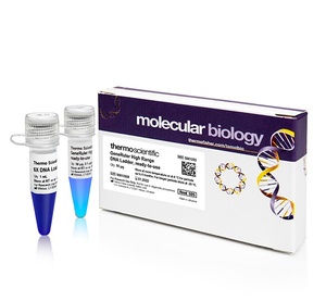 GeneRuler™ 100 bp DNA Ladder, ready-to-use  6X TriTrack DNA Loading Dye