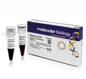 GeneRuler™ 100 bp DNA Ladder, ready-to-use  6X TriTrack DNA Loading Dye