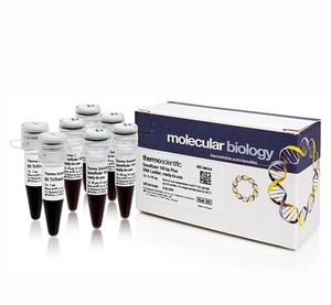 Thermo Scientific™ GeneRuler™ Express DNA Ladder, ready-to-use with 6X MassRuler DNA Loading Dye