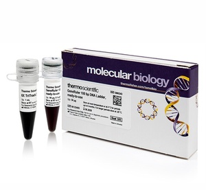 GeneRuler™ 100 bp DNA Ladder, ready-to-use  6X TriTrack DNA Loading Dye