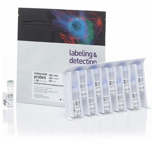 Invitrogen™ CellTrace™ CFSE Cell Proliferation Kit, for flow cytometry