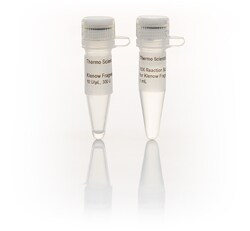 Invitrogen™ DNA Polymerase I, Large (Klenow) Fragment