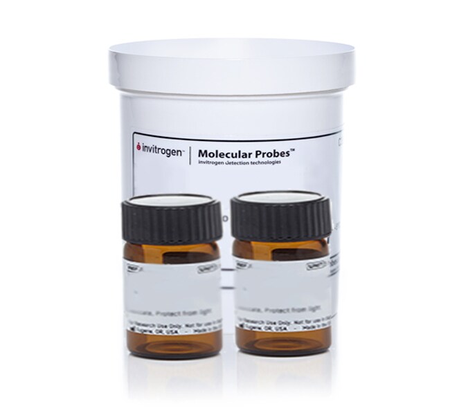 Invitrogen™ NBT/BCIP Reagent Kit, 1g each