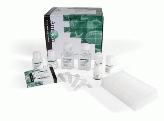 Invitrogen™ MagMAX™ for Stabilized Blood Tubes RNA Isolation Kit, compatible with PAXgene™ Blood RNA Tubes, 96 Preps