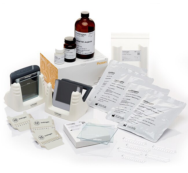 Invitrogen™ SureCast™ Gel Handcast Bundle A - Hardware and Reagents