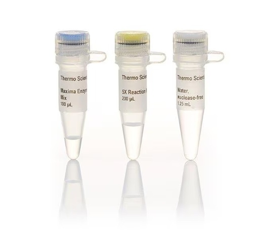 [K1641] Thermo Scientific™ Maxima™ First Strand cDNA Synthesis Kit for RT-qPCR (50 rxn, Kit only)