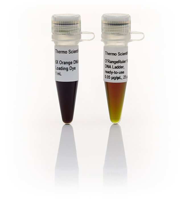 Thermo Scientific™ O’RangeRuler 50 bp DNA Ladder, ready-to-use, 25 µg