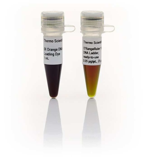 [SM0613] Thermo Scientific™ O’RangeRuler DNA Ladder, ready-to-use (50 to 1000 bp)