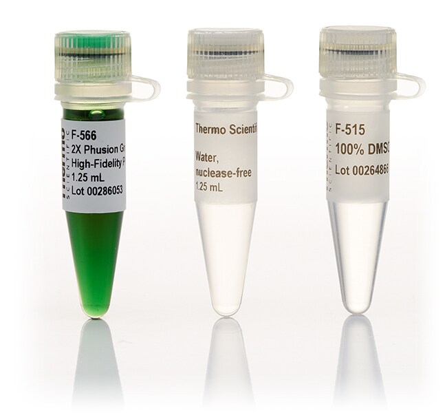 Thermo Scientific™ Phusion Hot Start II High-Fidelity PCR Master Mix, 2X