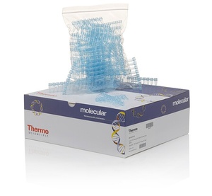 Thermo Scientific™ Tubes, 0.2mL, strips of 8, white
