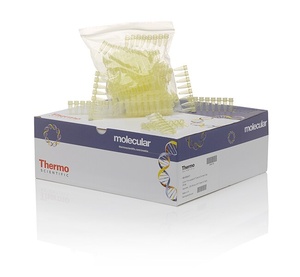 Thermo Scientific™ Tubes, 0.2mL, strips of 8, white
