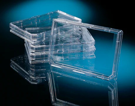 Thermo Scientific™ Nunc™ OmniTray™ Single-Well Plate