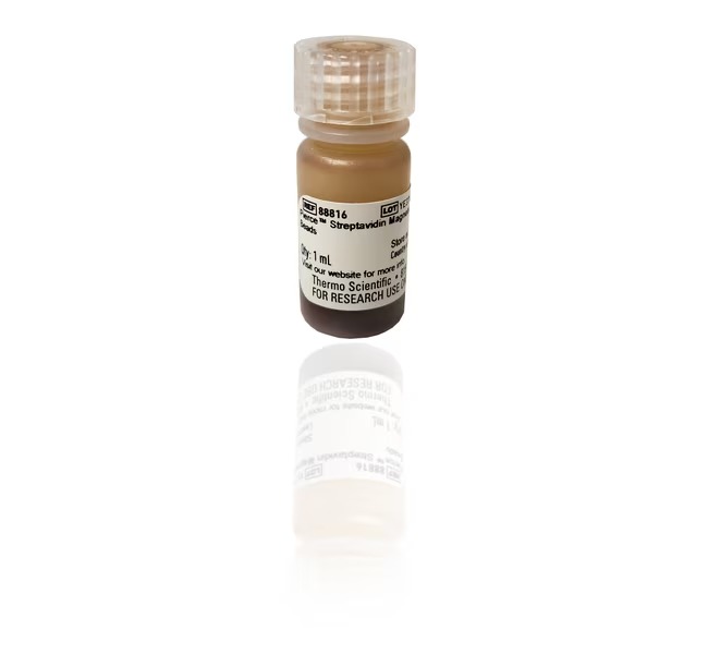 Thermo Scientific™ Pierce™ Streptavidin Magnetic Beads, 1 μm