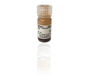 Thermo Scientific™ Pierce™ Streptavidin Magnetic Beads, 1 μm