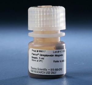 Thermo Scientific™ Pierce™ Streptavidin Magnetic Beads, 1 μm