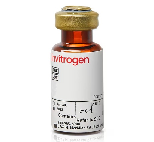 [432040] Invitrogen™ Biotin-HRP (biotinylated peroxidase), 5mg