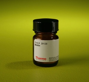 Thermo Scientific™ Pierce™ Biotin (Unconjugated), 1g 