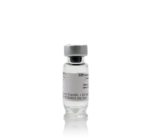 Thermo Scientific™ Pierce™ Bovine Serum Albumin, Biotinylated, 25 mg