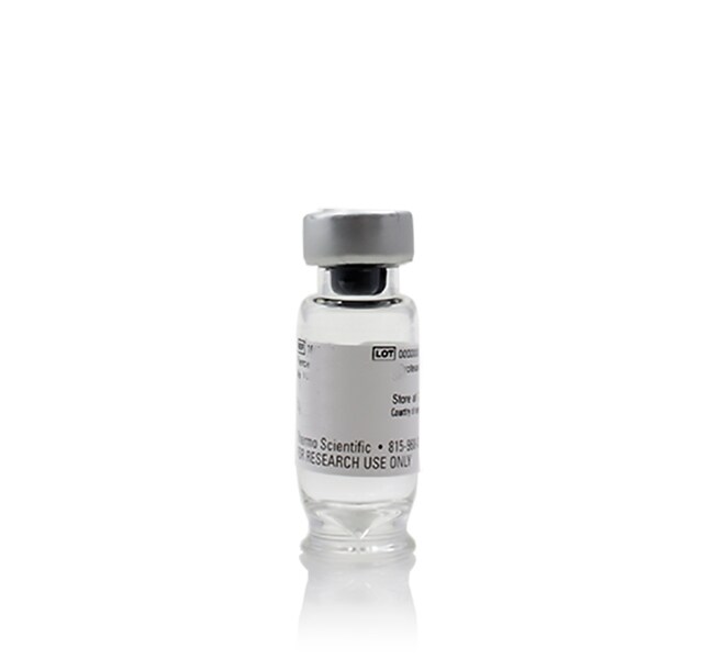 Thermo Scientific™ Pierce™ Horseradish Peroxidase, Biotinylated