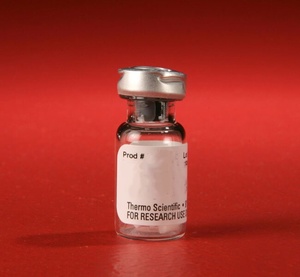 Thermo Scientific™ Pierce™ Alkaline Phosphatase, Biotinylated 1mg