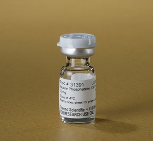 Thermo Scientific™ Pierce™ Alkaline Phosphatase, ~20 mg/mL