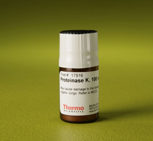 Thermo Scientific™ Proteinase K Powder (≥30 U/mg), 100mg