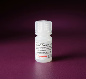 Thermo Scientific™ Pierce™ Protein A Agarose