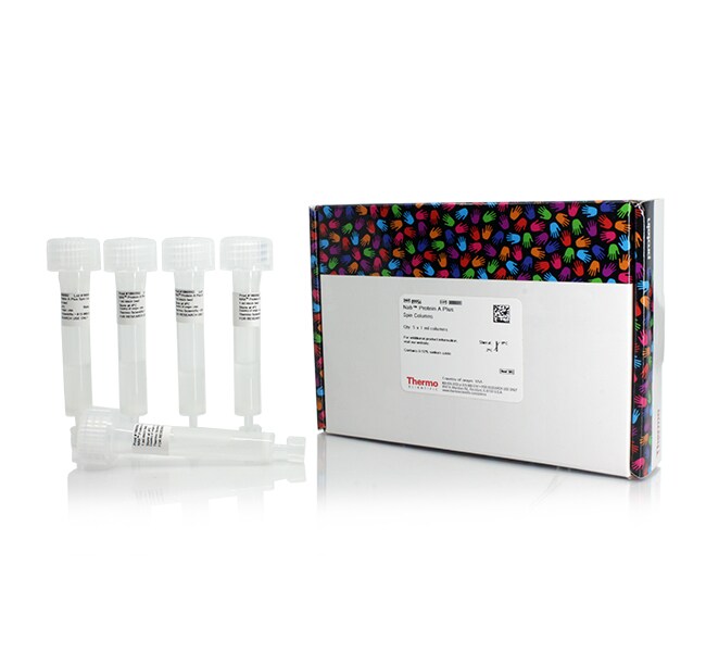 Thermo Scientific™ NAb™ Protein A Plus Spin Columns, 1 mL