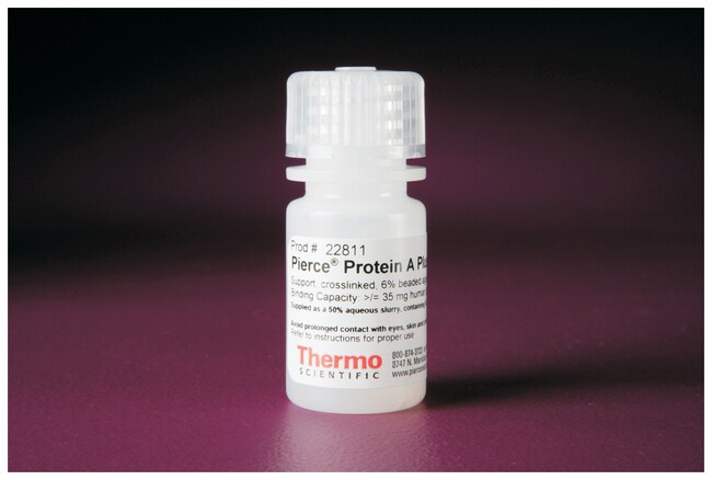 Thermo Scientific™ Pierce™ Protein A Plus Agarose