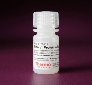 Thermo Scientific™ Pierce™ Protein A Plus Agarose